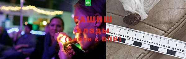 индика Новодвинск
