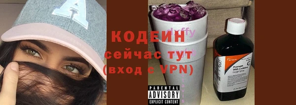 индика Новодвинск