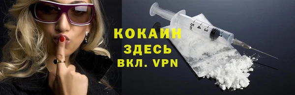 индика Армянск
