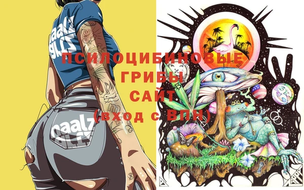 скорость Аркадак