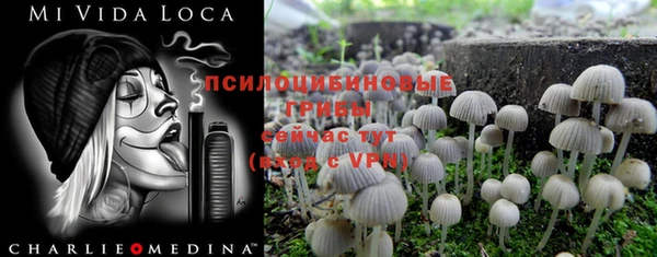 скорость Аркадак