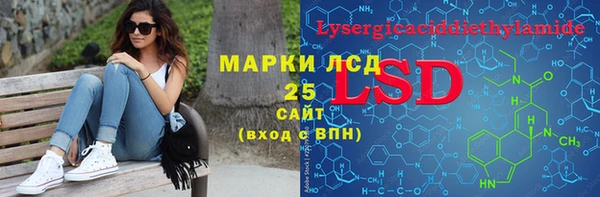 индика Армянск