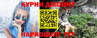 PSILOCYBIN Севастополь